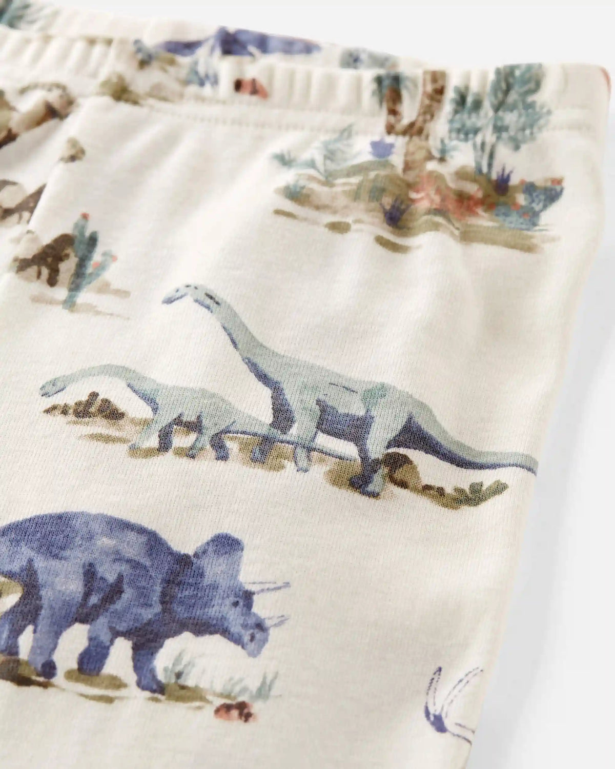 Toddler Dinosaur Print Organic Cotton Pajamas Set