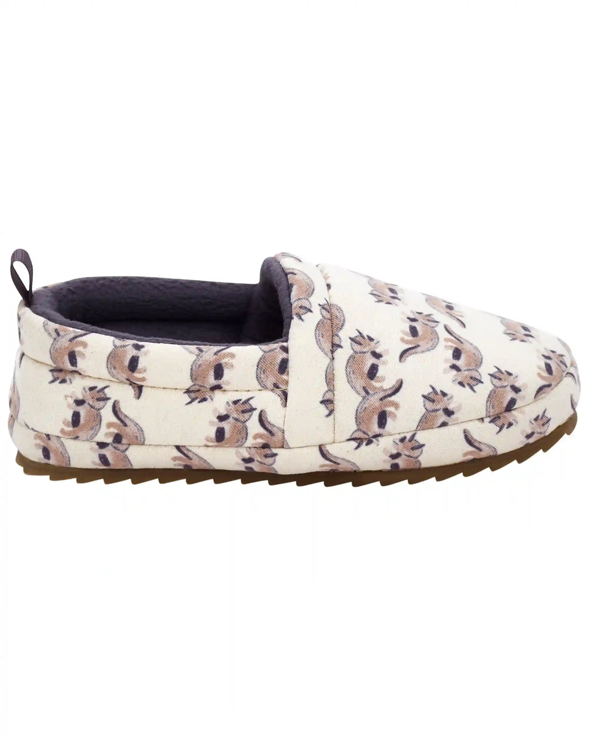 Dinosaur Slipper Shoes